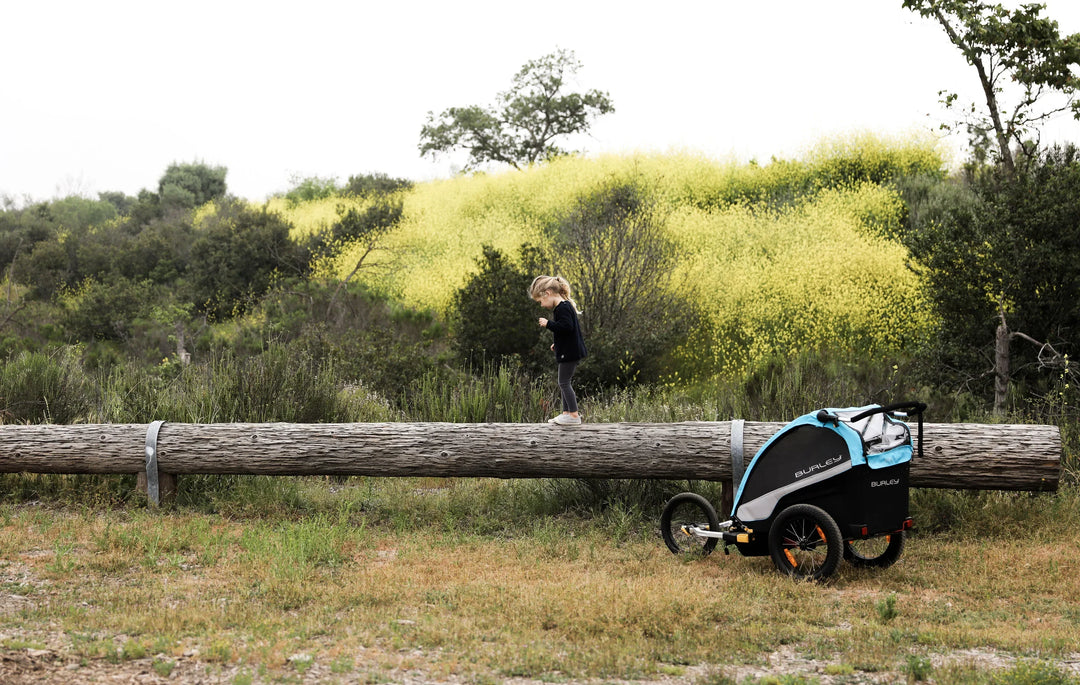 The Ultimate 'Try Before You Buy'!