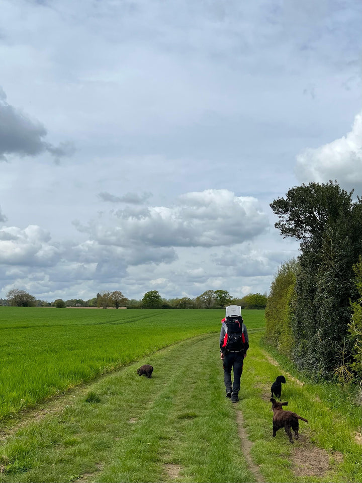 Osprey Poco Child Carrier Hire