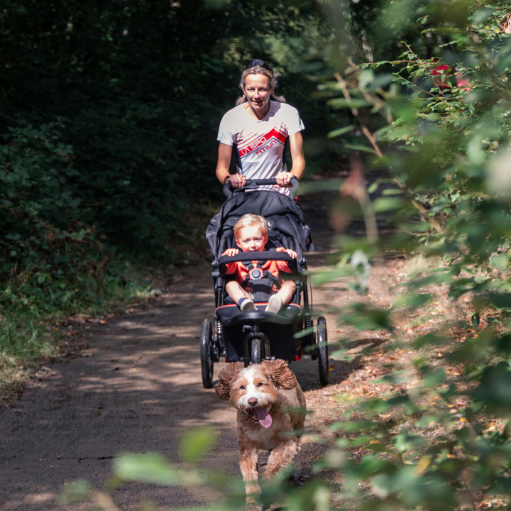 Out 'n' About - V6 Plus Pushchair Hire