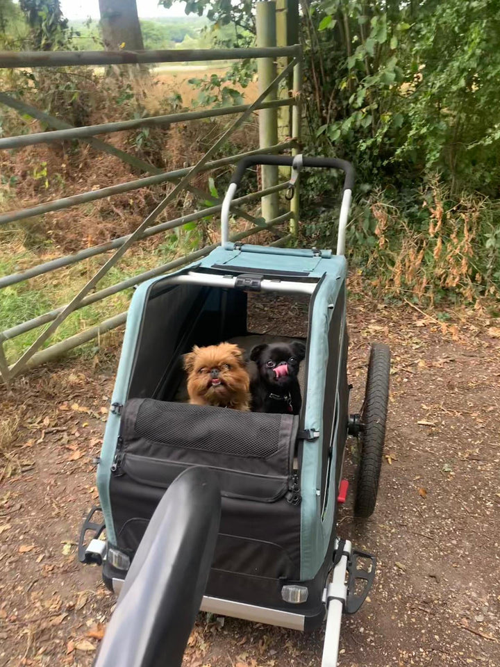 HIRE a Burley Pet Trailer - Kids Bike Trailers