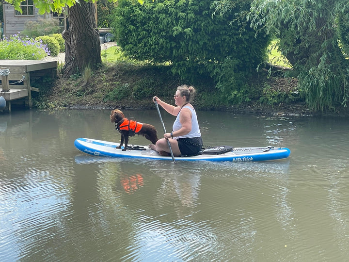 Dog Buoyancy Aid Hire