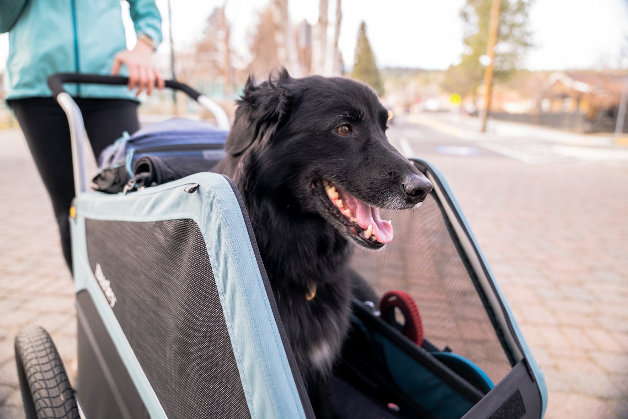 Burley Bark Ranger XL® – Adventure Kit Hire