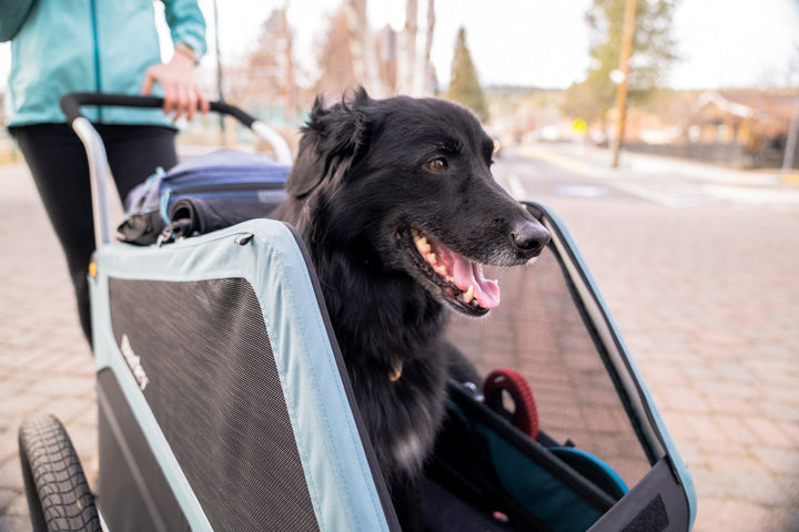 Burley Bark Ranger XL® - Kids Bike Trailers