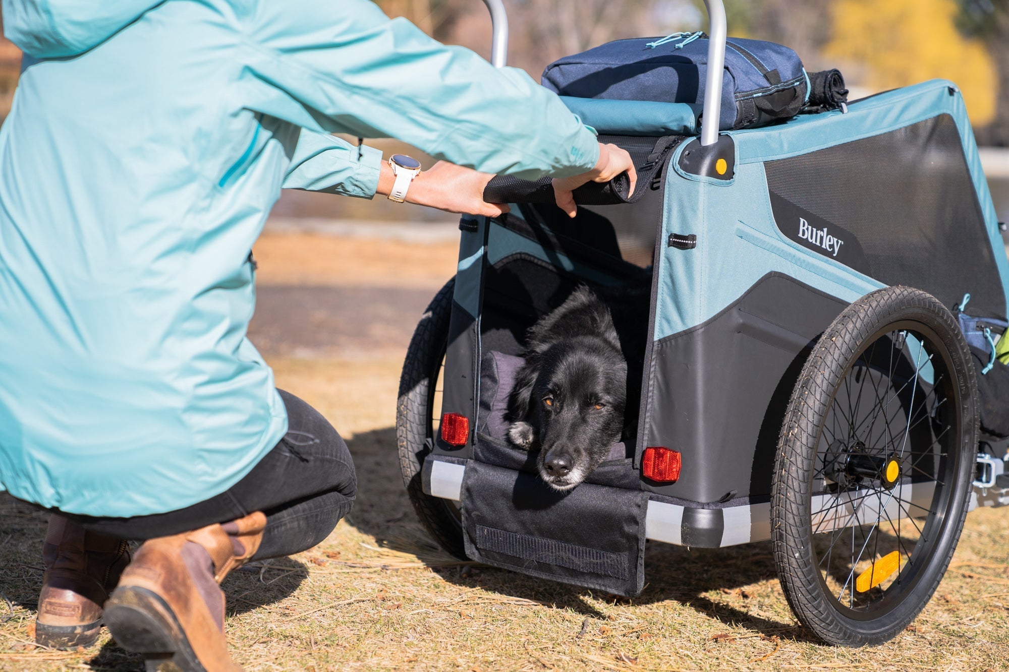 Burley Bark Ranger XL® – Adventure Kit Hire
