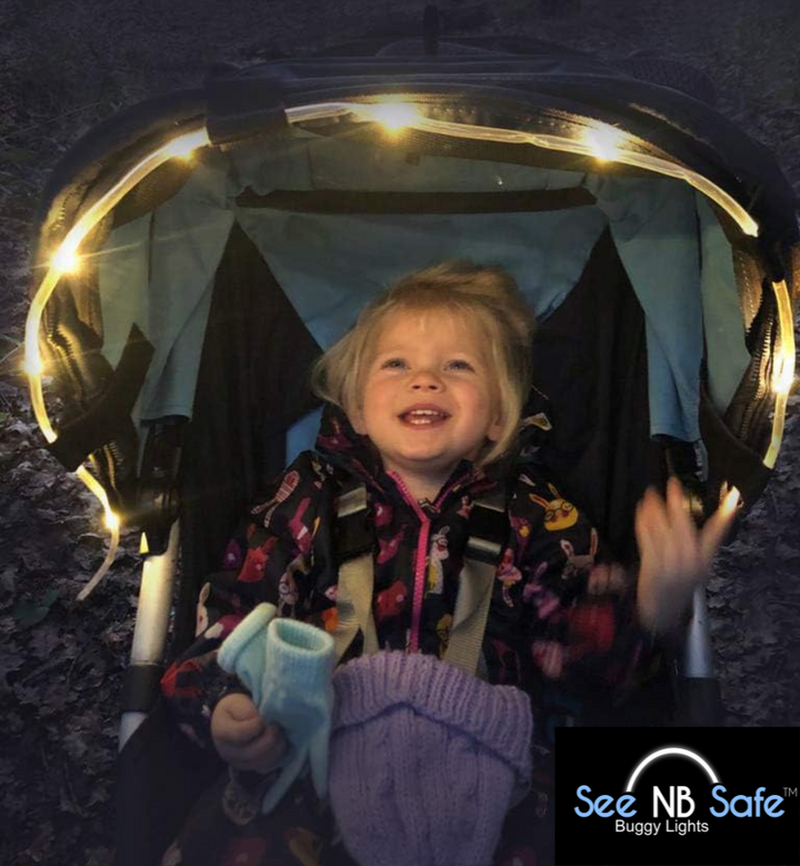 HIRE a Burley Trailer - For Festival Use (with Jogger Kit) - Kids Bike Trailers