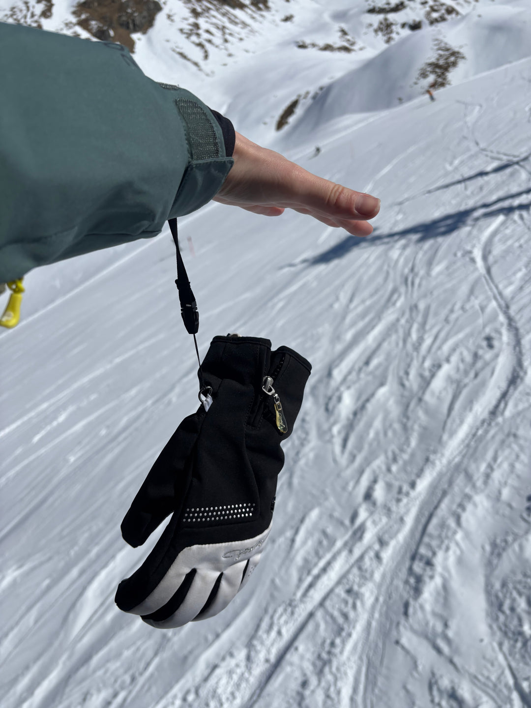 Essential: Gloves Leash Pairs