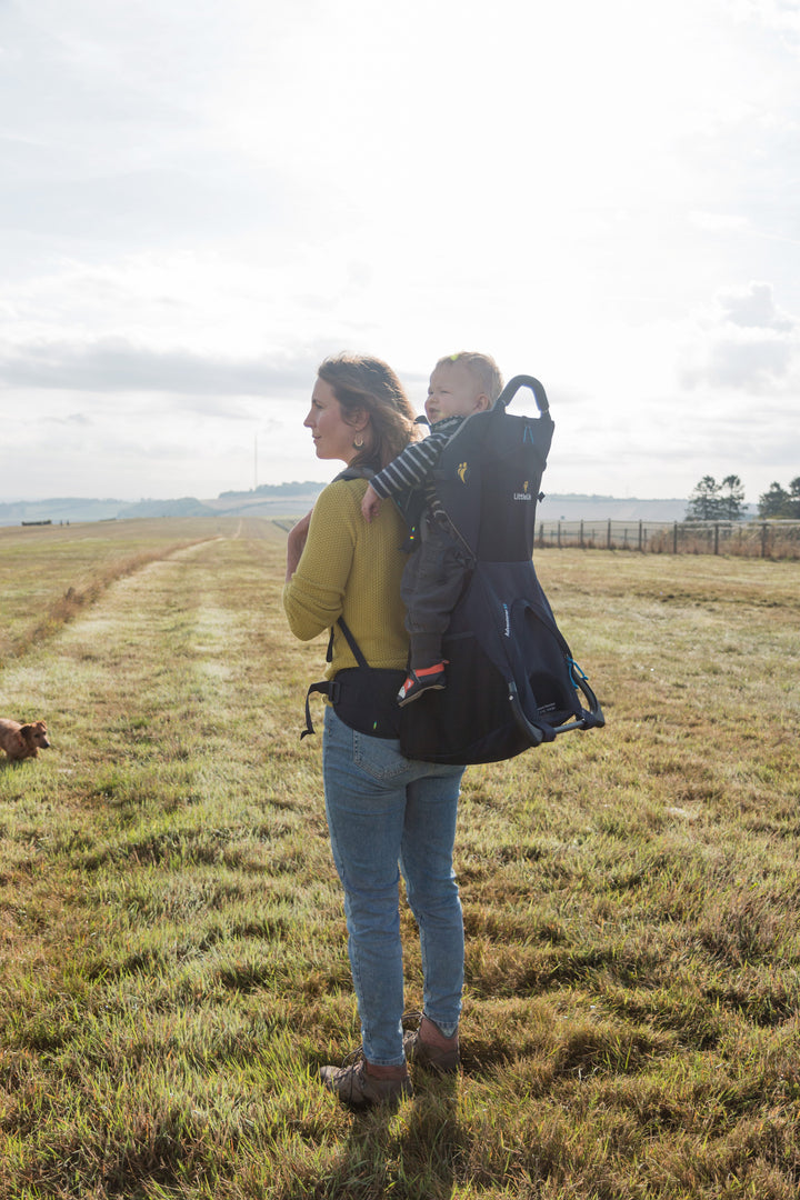 LittleLife Adventurer S3 Child Carrier Hire