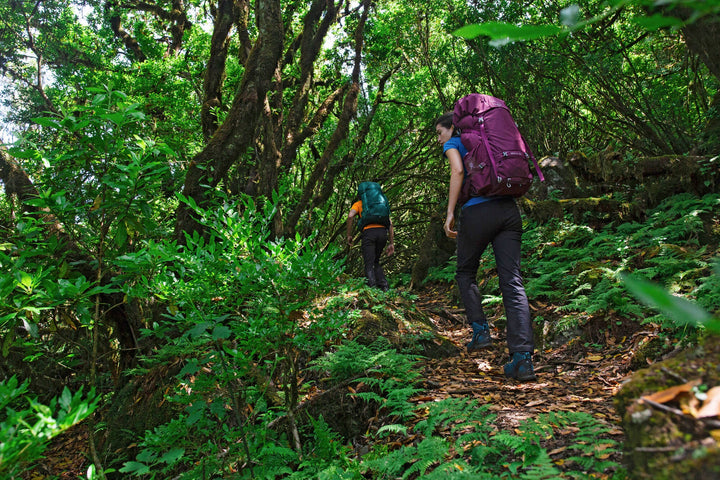 Osprey Renn 65L Womens Backpack Hire