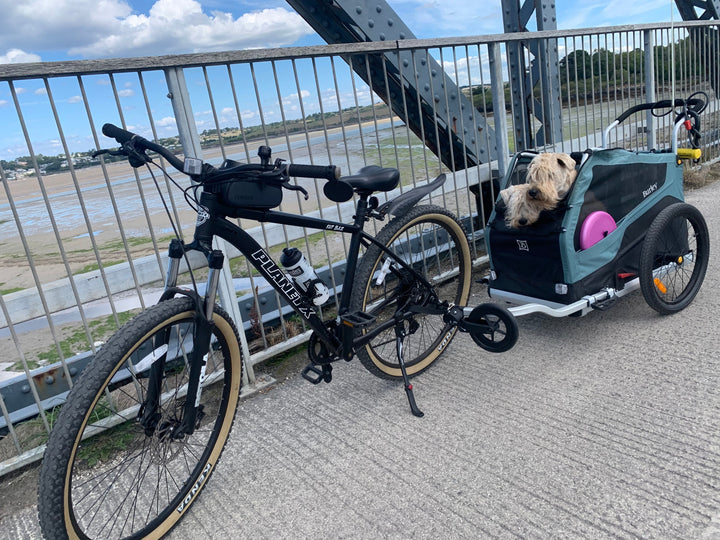 HIRE a Burley Pet Trailer - Kids Bike Trailers