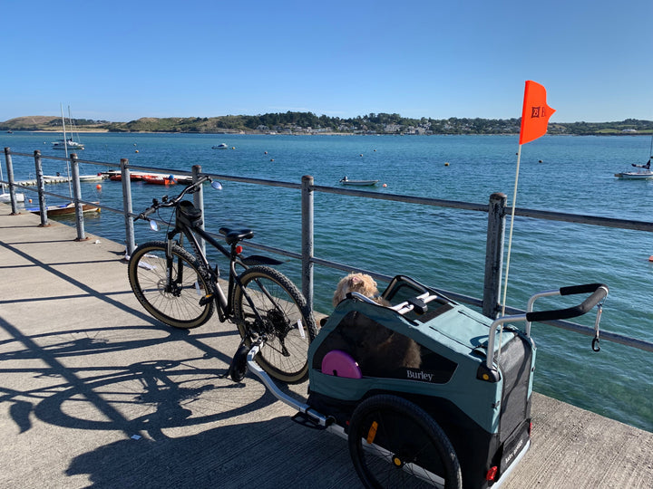 HIRE a Burley Pet Trailer - Kids Bike Trailers