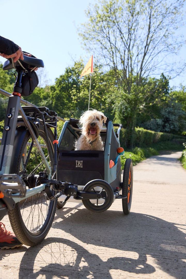 Burley Bark Ranger Pet Trailer Hire