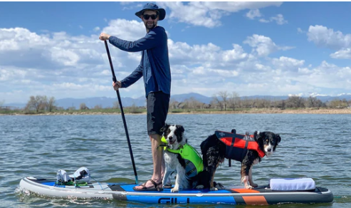 Dog Buoyancy Aid Hire