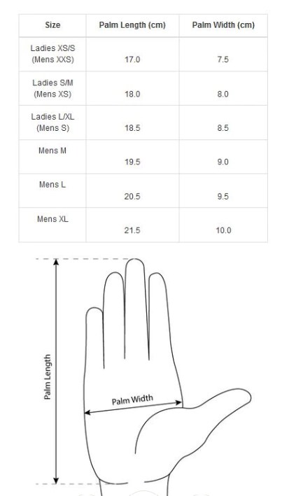 Steiner Adult Silk 140 Glove Liner