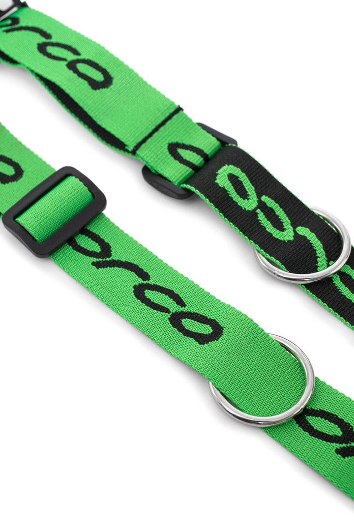 Orca Swimrun Belt