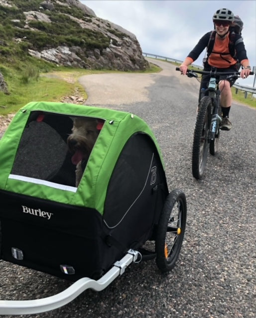 HIRE a Burley Pet Trailer - Kids Bike Trailers