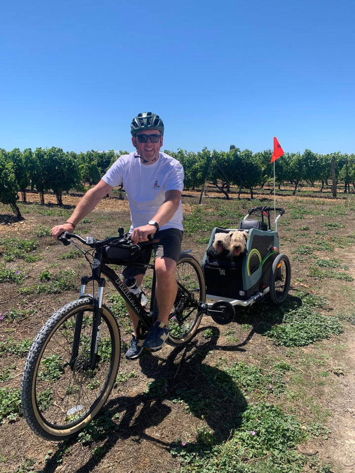 HIRE a Burley Pet Trailer - Kids Bike Trailers
