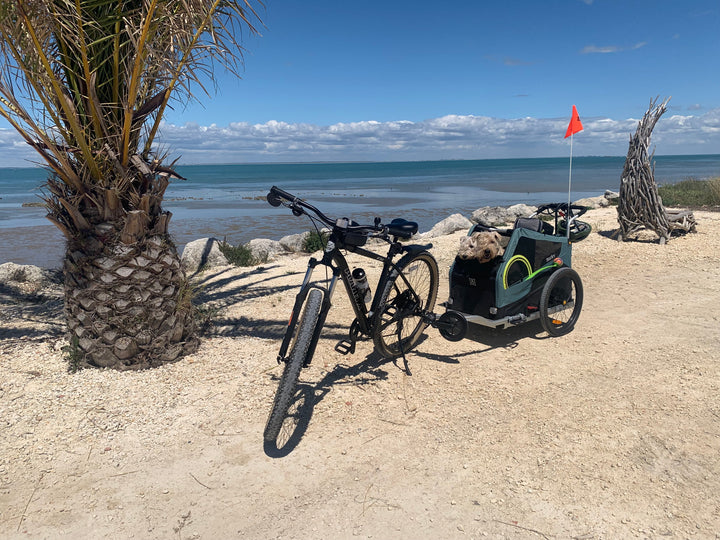 HIRE a Burley Pet Trailer - Kids Bike Trailers