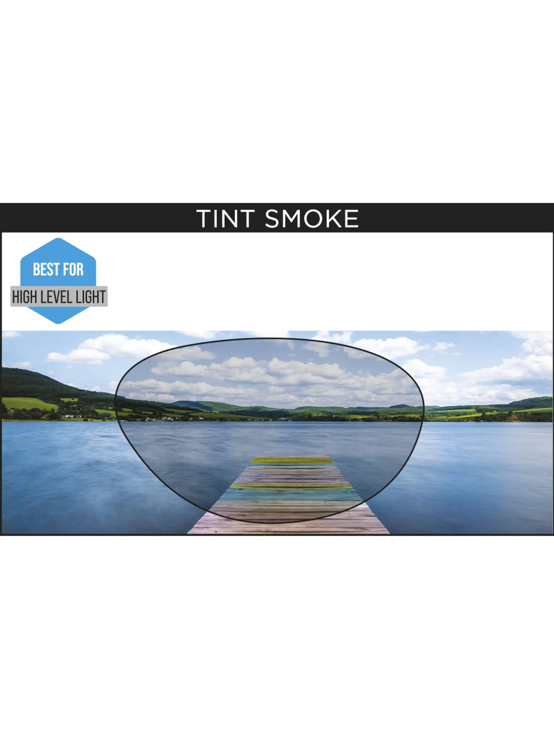 Zoggs Predator Goggles - Smoke Lens